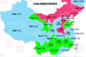 猪价跌至5块，我们能从猪价吸取到什么教训图片