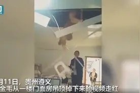 金毛追老鼠把邻居家吊顶压塌 网友调侃：狗拿耗子多管闲事图片