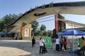 十一假期去哪儿玩？来郑州动物园看“三小只”做“吃播”吧！这类市民可免费入园图片