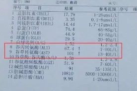 转氨酶超出正常范围，就是肝损伤吗？图片