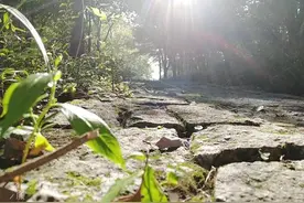广西本地人的趣事。图片