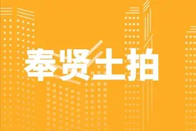 奉贤土拍，久违了图片