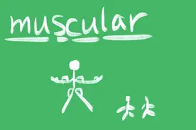 muscular什么意思图片