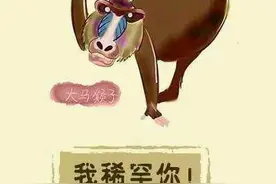 东北没猴，那大马猴子是啥？图片