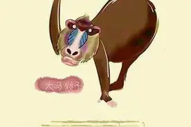 东北没猴，那大马猴子是啥？图片
