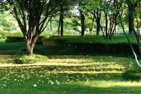 八年级上册【09《三峡》】课文注释+批注图片