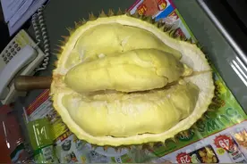 泰奥琪金枕冷冻榴莲，入口瞬间，才明白什么叫顶级榴莲图片