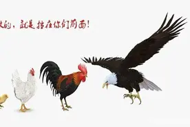 骟公鸡以当妈妈实践中的科学方法论之谜丨贤说八道番外篇图片