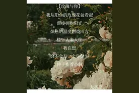 后来，喝点酒就能解决的事，就不会再麻烦眼泪了图片