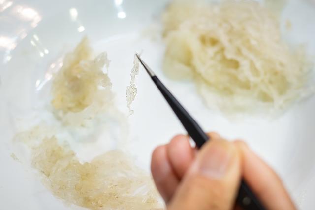 50g干燕窝能吃多少次 2026年一盏6克的燕窝吃几次