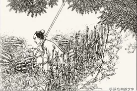 民间故事：高僧投猪胎图片