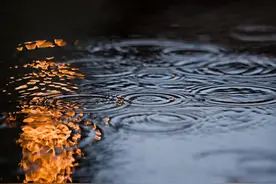 雨落人间化多情图片