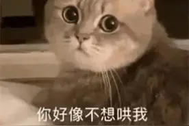 表情包｜睡吧，梦里什么都有图片