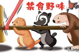 注意：这45种野生动物年底开始停养，农民表示支持，附名单图片