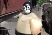铲屎官穿充气相扑服遛狗，狗子：我真的不认识她!图片