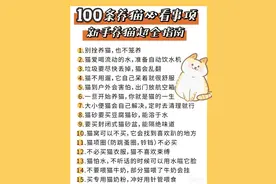 养猫知道这100条注意事项就够了图片