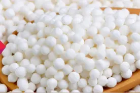 煮西米，用冷水还是开水？这一步很关键，难怪不Q弹，有白芯图片