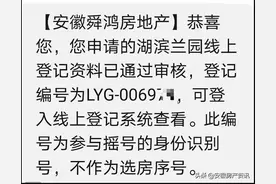 合肥4个千人摇号楼盘出炉，打新如何中签率更高？图片