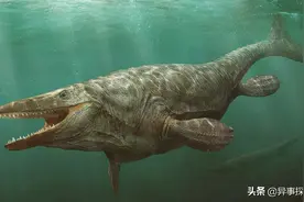 盘点十大史前巨型生物图片