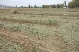 作为一名普通农民，1年的真实收入有多少？敢不敢曝曝？图片