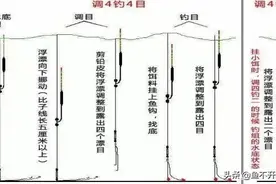 钓鱼怎样快速调漂？怎样找底调漂同步完成？图片