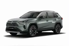 一汽丰田RAV4荣放，B柱现大面积生锈腐蚀图片