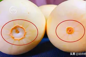 买甜瓜时，就要挑“母”的！牢记这5点，香甜又多汁，一挑一个准图片