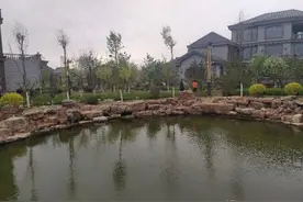 呼和浩特市网红村，“脑包”图片