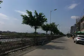 贵屿华美湿地公园图片