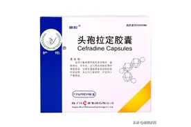 抗生素不是消炎药，消炎药另有所属图片