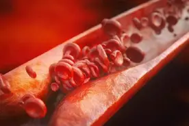 人体4大化血栓“开关”，每天按揉10分钟，血管悄悄变通畅图片