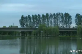 长江“十年禁渔”成效显著 长江武湖段水资源环境持续向好图片