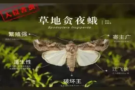 智斗“幺蛾子”这样用药图片