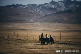 西北大环线自驾D1-2:祁连大草原图片