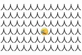 霞浦：都是摄影惹的“祸”图片