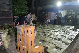 打开盲盒，里面竟是小动物，有的已死去图片