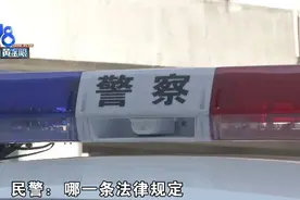 车里发现定位器夫妻闹离婚，多方探案讲道理图片