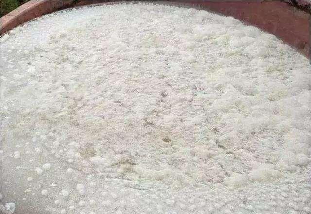 花生麸到底有什么神奇之处？果农十分关注，详细发酵及使用方法