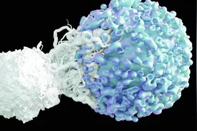 「动画」创举！武汉两位教授发明治艾滋病新方法 可完全清除HIV