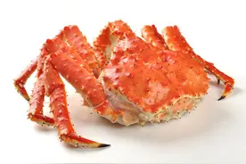 帝王蟹，你眼中的稀有食材其实根本不稀有图片