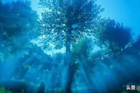 科学家提出梦境其实并不是假的，为啥这么说？图片