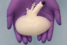 世界首家猪器官人体移植公司上市，洗掉猪细胞，植入人体细胞图片