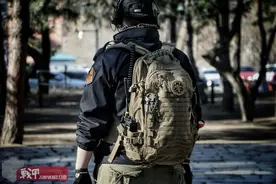 蛋大如三斗——DA强袭者大龙蛋使用简评图片