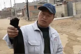 农村收购走的长头发，你们知道用来干什么了吗？图片
