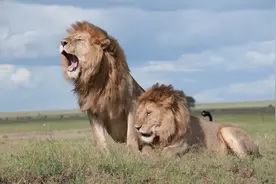 为了增长，天猫升级了 4 个一级类目图片