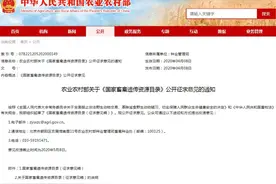 狗为伴侣动物拟禁食！《国家畜禽遗传资源目录》公开征求意见图片
