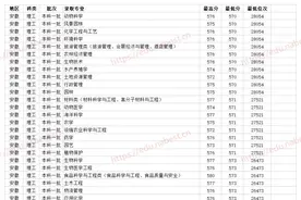 双一流211大学 海南大学2021年各省各专业录取分数线图片