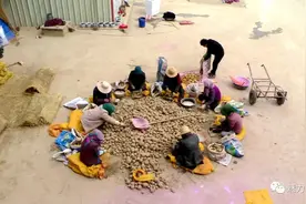 劳模田永霞的富民情怀图片
