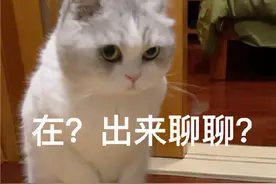 表情包：在？出来聊聊？图片