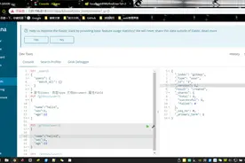 ElasticSearch的基本使用方式，你学会了吗？不会的速速看过来图片